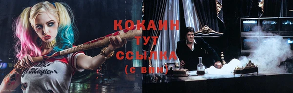 дживик Вязьма