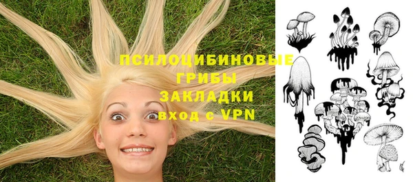 прущая мука Горно-Алтайск