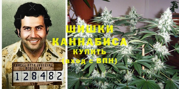 дживик Вязьма