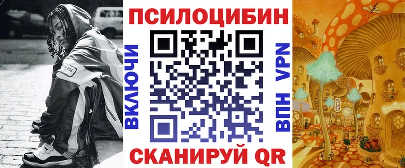 Псилоцибиновые грибы MAGIC MUSHROOMS  Купить где  Починок 
